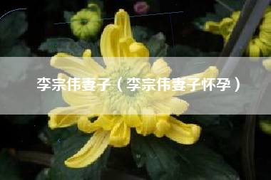 李宗伟妻子（李宗伟妻子怀孕）