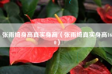 张雨绮身高真实身高（张雨绮真实身高160）