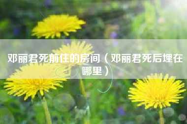 邓丽君死前住的房间（邓丽君死后埋在哪里）
