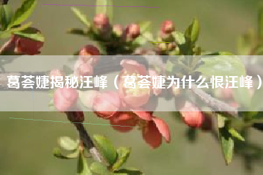 葛荟婕揭秘汪峰（葛荟婕为什么恨汪峰）