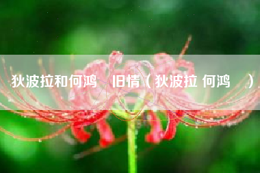 狄波拉和何鸿燊旧情（狄波拉 何鸿燊）