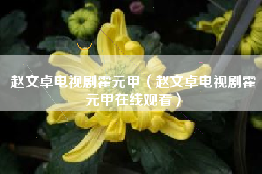 赵文卓电视剧霍元甲（赵文卓电视剧霍元甲在线观看）