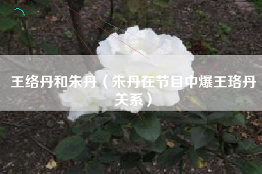 王络丹和朱丹（朱丹在节目中爆王珞丹关系）