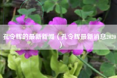 孔令辉的最新新闻（孔令辉最新消息2020）