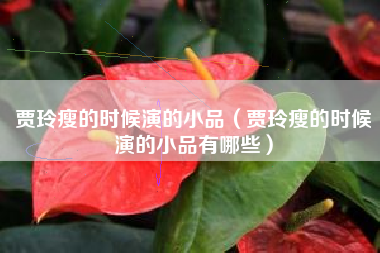 贾玲瘦的时候演的小品（贾玲瘦的时候演的小品有哪些）