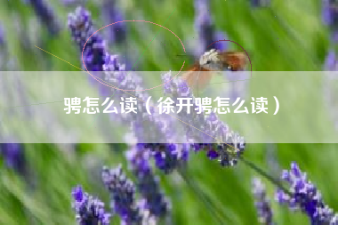 骋怎么读（徐开骋怎么读）