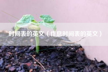 时间表的英文（作息时间表的英文）