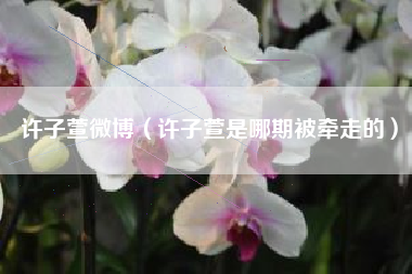 许子萱微博（许子萱是哪期被牵走的）