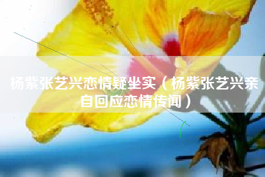 杨紫张艺兴恋情疑坐实（杨紫张艺兴亲自回应恋情传闻）