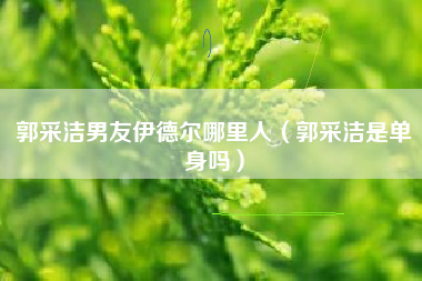 郭采洁男友伊德尔哪里人（郭采洁是单身吗）