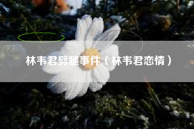 林韦君劈腿事件（林韦君恋情）