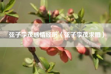 弦子李茂感情经历（弦子李茂求婚）