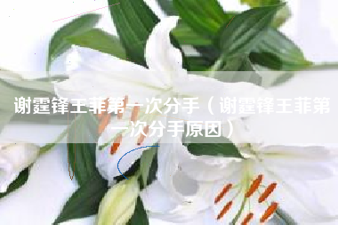 谢霆锋王菲第一次分手（谢霆锋王菲第一次分手原因）