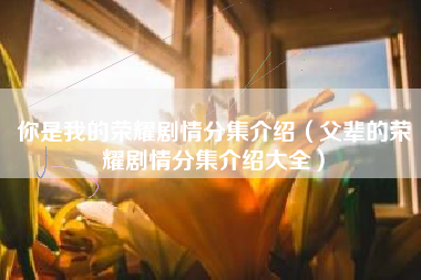 你是我的荣耀剧情分集介绍（父辈的荣耀剧情分集介绍大全）