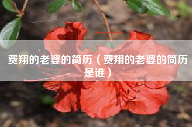 费翔的老婆的简历（费翔的老婆的简历是谁）