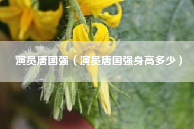 演员唐国强（演员唐国强身高多少）