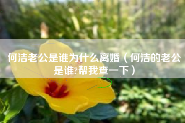 何洁老公是谁为什么离婚（何洁的老公是谁?帮我查一下）