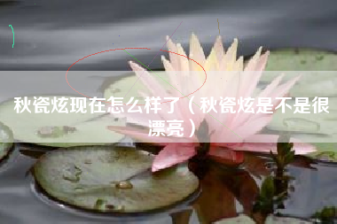 秋瓷炫现在怎么样了（秋瓷炫是不是很漂亮）