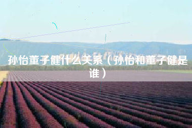 孙怡董子健什么关系（孙怡和董子健是谁）