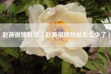 赵薇微博粉丝（赵薇微博粉丝怎么少了）