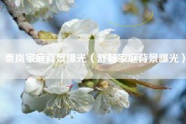 秦岚家庭背景曝光（舒畅家庭背景曝光）