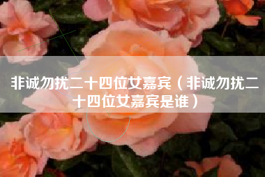 非诚勿扰二十四位女嘉宾（非诚勿扰二十四位女嘉宾是谁）