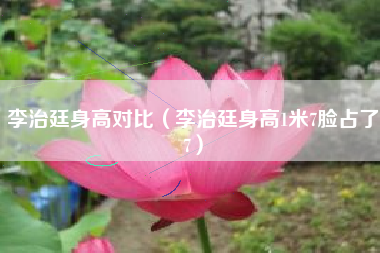 李治廷身高对比（李治廷身高1米7脸占了7）
