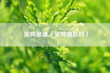 吴帅是谁（吴帅清百科）