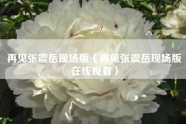 再见张震岳现场版（再见张震岳现场版在线观看）