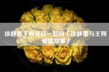 徐静蕾王朔还在一起吗（徐静蕾与王朔爱情故事）