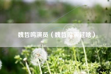 魏哲鸣演员（魏哲鸣演过啥）