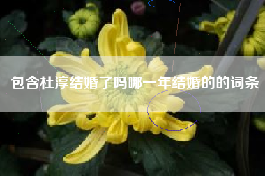 包含杜淳结婚了吗哪一年结婚的的词条