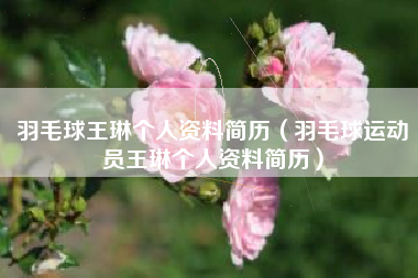 羽毛球王琳个人资料简历（羽毛球运动员王琳个人资料简历）