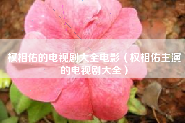 权相佑的电视剧大全电影（权相佑主演的电视剧大全）