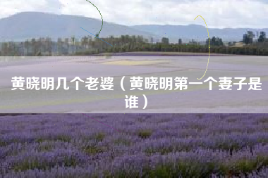 黄晓明几个老婆（黄晓明第一个妻子是谁）