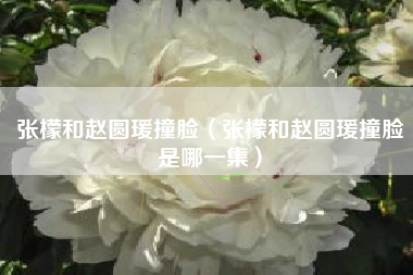 张檬和赵圆瑗撞脸（张檬和赵圆瑗撞脸是哪一集）