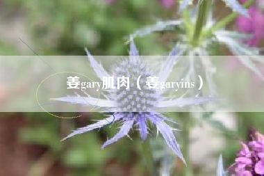 姜gary肌肉（姜garyins）
