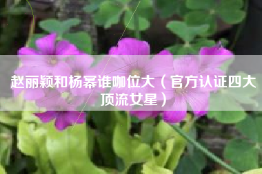 赵丽颖和杨幂谁咖位大（官方认证四大顶流女星）