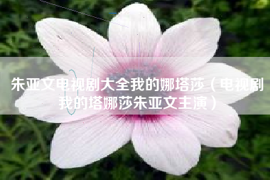 朱亚文电视剧大全我的娜塔莎（电视剧我的塔娜莎朱亚文主演）