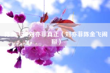 陈金飞破刘亦菲真正（刘亦菲陈金飞闹掰）