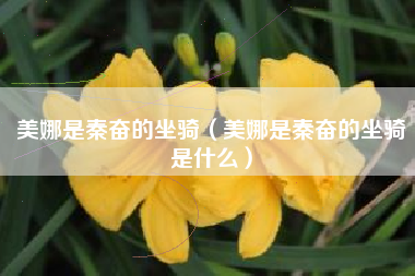 美娜是秦奋的坐骑（美娜是秦奋的坐骑是什么）