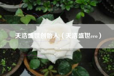 天浩盛世创始人（天浩盛世ceo）