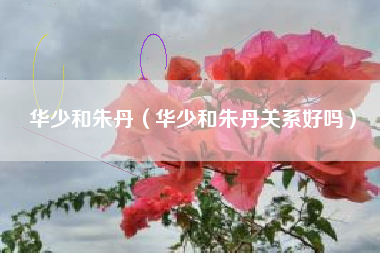 华少和朱丹（华少和朱丹关系好吗）