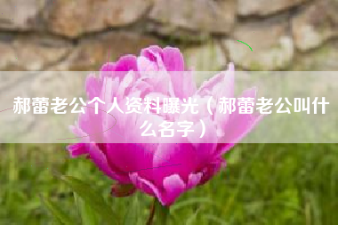 郝蕾老公个人资料曝光（郝蕾老公叫什么名字）