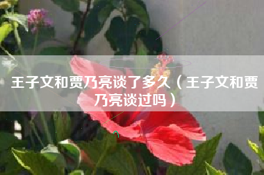 王子文和贾乃亮谈了多久（王子文和贾乃亮谈过吗）