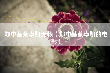 郑中基蔡卓妍无赖（郑中基蔡卓妍的电影）
