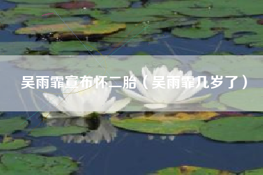 吴雨霏宣布怀二胎（吴雨霏几岁了）