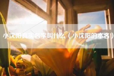 小沈阳真实名字叫什么（小沈阳的本名）