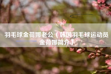 羽毛球金荷娜老公（韩国羽毛球运动员金荷娜简介）