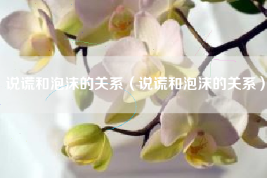 说谎和泡沫的关系（说谎和泡沫的关系）
